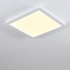 Siguna Plafondlamp LED Wit, 1-licht