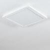 Siguna Plafondlamp LED Wit, 1-licht