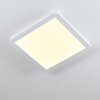 Siguna Plafondlamp LED Wit, 1-licht