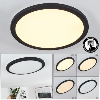 Siguna Plafondlamp LED Zwart, Wit, 1-licht