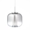 Brilliant Rafa Hanglamp LED Chroom, 1-licht