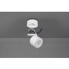 Trio Taurus Plafondlamp LED Wit, 2-lichts