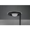 Trio Barrie Staande lamp LED Zwart, 2-lichts