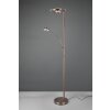 Trio Barrie Staande lamp LED Oud messing, 2-lichts