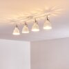 Safari Plafondlamp Wit, 4-lichts