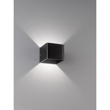 Fischer & Honsel  Dan Muurlamp LED Zwart, 1-licht