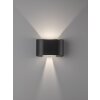 Fischer & Honsel  Wall Muurlamp LED Zwart, 2-lichts