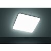 Fischer & Honsel  Aldo Plafondlamp LED Wit, 1-licht