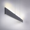 Leuchten-Direkt NILA Hanglamp LED Antraciet, 2-lichts, Afstandsbediening