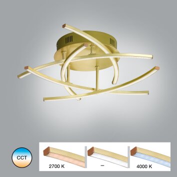 Fischer & Honsel  Cross TW Plafondlamp LED Messing, 5-lichts, Afstandsbediening