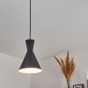 Vijes Hanger Zwart, 1-licht