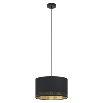 Eglo ESTEPERRA Hanger Zwart, 1-licht
