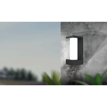 Eglo CIVIDINO Buiten muurverlichting LED Zwart, 1-licht