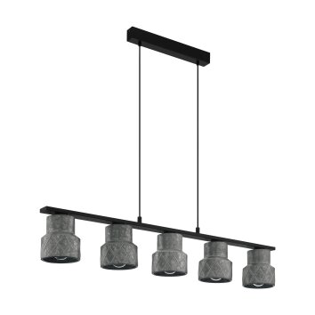Eglo HILCOTT Hanger Zwart, 5-lichts