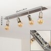 Lagunita Plafondlamp Nikkel mat, 4-lichts