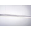 Leuchten-Direkt NIRO Hanglamp LED Nikkel mat, 2-lichts