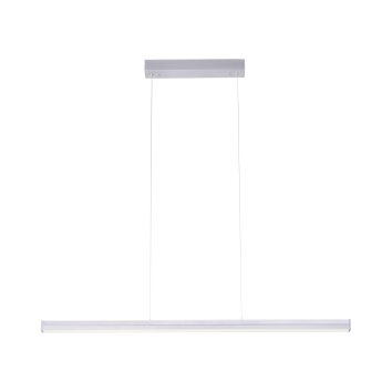 Leuchten-Direkt NIRO Hanglamp LED Nikkel mat, 2-lichts