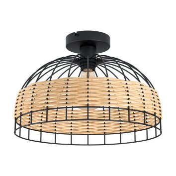 Eglo ANWICK Plafondlamp Zwart, 1-licht