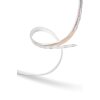 Philips Hue Ambiance White & Color Lightstrip Plus Basisset LED, 1-licht, Kleurwisselaar