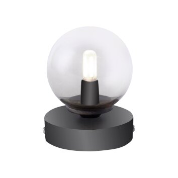Paul Neuhaus WIDOW Tafellamp LED Nikkel mat, Zwart, 1-licht