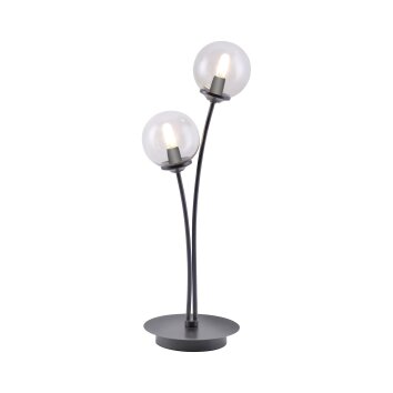 Paul Neuhaus WIDOW Tafellamp LED Nikkel mat, Zwart, 2-lichts