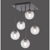 Paul Neuhaus WIDOW Plafondlamp LED Zwart, 5-lichts