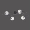 Paul Neuhaus WIDOW Plafondlamp LED Zwart, 4-lichts