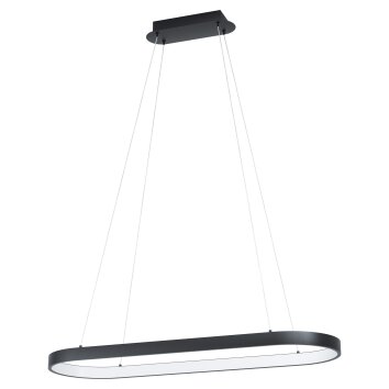 Eglo CODRIALES Hanger LED Zwart, 1-licht