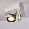 Grytgol Plafondlamp Wit, 2-lichts