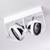 Grytgol Plafondlamp Wit, 2-lichts