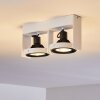 Grytgol Plafondlamp Wit, 2-lichts