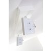 Guyana Plafond spot LED Chroom, Wit, 2-lichts