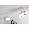 Guyana Plafond spot LED Chroom, Wit, 2-lichts