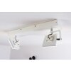 Guyana Plafond spot LED Chroom, Wit, 2-lichts