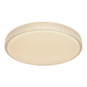 Globo OVI Plafondlamp LED Wit, 1-licht