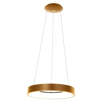 Steinhauer Ringlede Hanglamp Goud, Wit, 1-licht