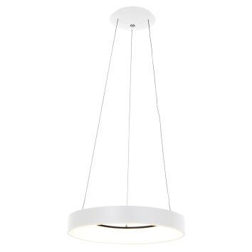 Steinhauer Ringlede Hanglamp Wit, 1-licht