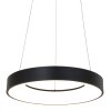 Steinhauer Ringlede Hanglamp Zwart, Wit, 1-licht
