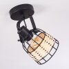 Recinto Plafondlamp Zwart, 1-licht