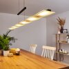 Hogana Hanglamp LED Antraciet, 1-licht
