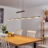 Hogana Hanglamp LED, 1-licht