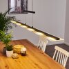 Hogana Hanglamp LED, 1-licht