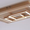 Paul Neuhaus Q-LINEA Plafondlamp LED Hout licht, 4-lichts, Afstandsbediening