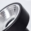 Chagres Plafondlamp Zwart, 3-lichts