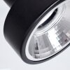 Chagres Plafondlamp Zwart, Zilver, 2-lichts