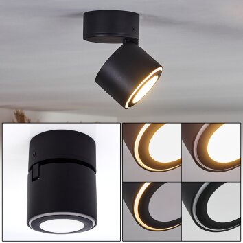 Appleton Plafondlamp LED Zwart, 1-licht