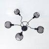 Tambo Plafondlamp Zwart, 5-lichts