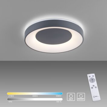 Leuchten-Direkt ANIKA Plafondlamp LED Antraciet, 1-licht, Afstandsbediening