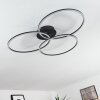 Johsa Plafondlamp LED Zwart, 3-lichts
