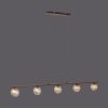 Paul Neuhaus GRETA Hanglamp Roest, 5-lichts